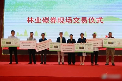 通道林農再獲一項權利！懷化市林地生態系統碳匯權證暨林業碳券在通道首發