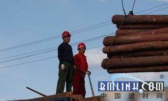 跨界突圍 黑龍江林業局以電子產品銷售開辟木材市場新路徑