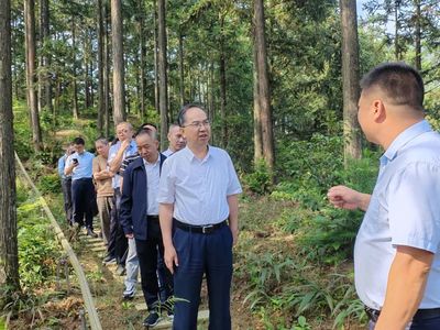 科技賦能，生態富民 福建省林業局領導赴福州、寧德調研林下經濟與電子產品銷售新模式